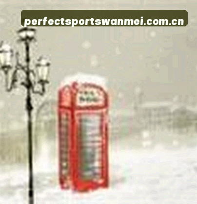 赵雪